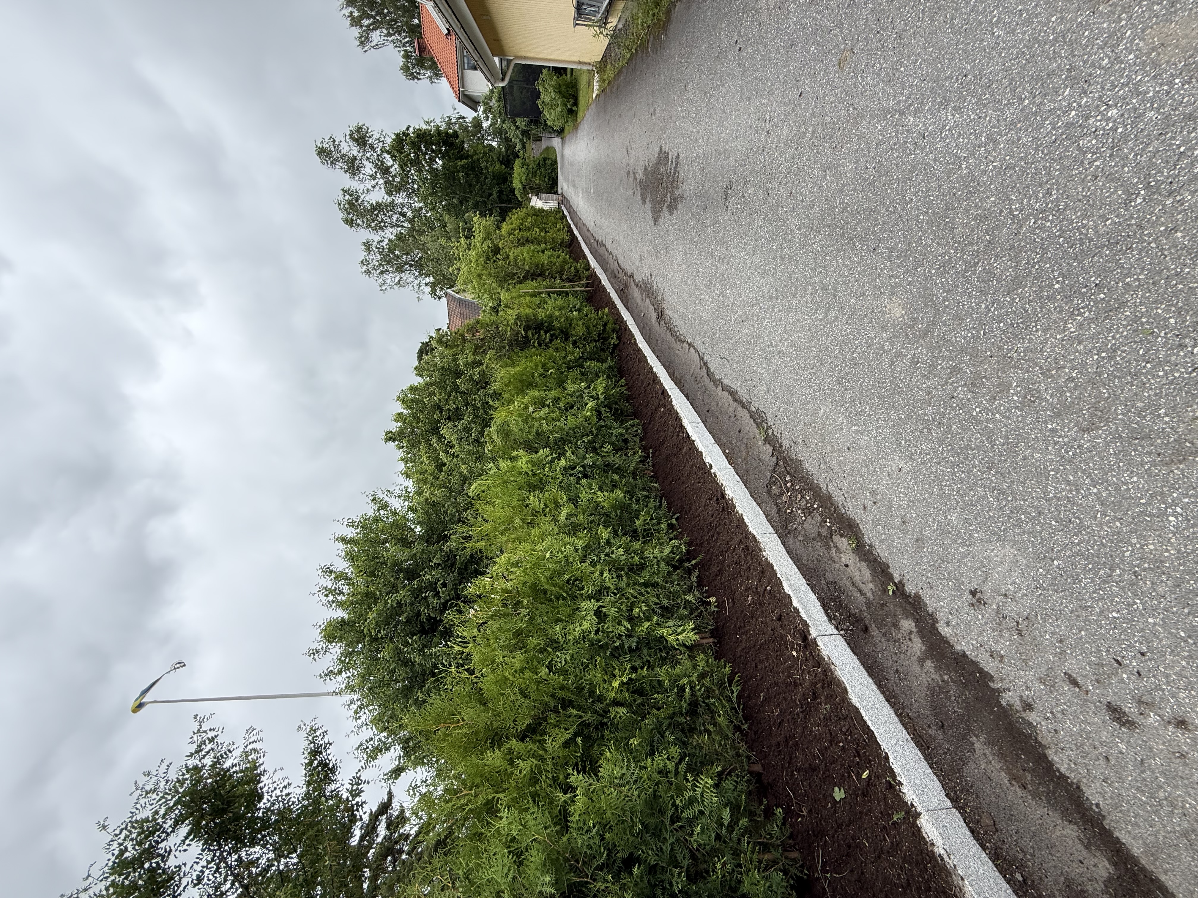 Thuja Brabant 180/200 cm, 22 meter i Enebyberg