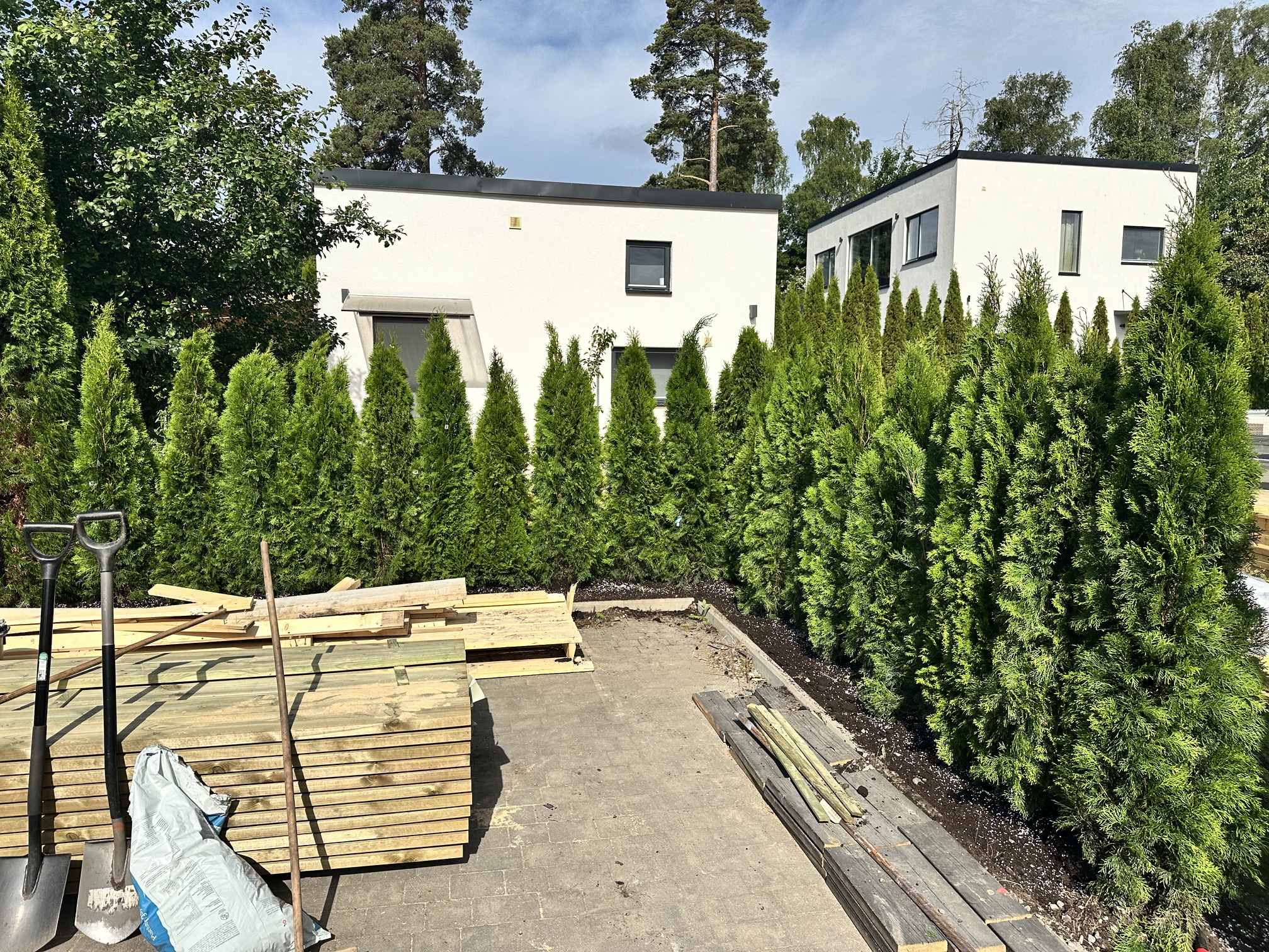 Thuja Smaragd, 180–200 cm, 9 meter i Täby