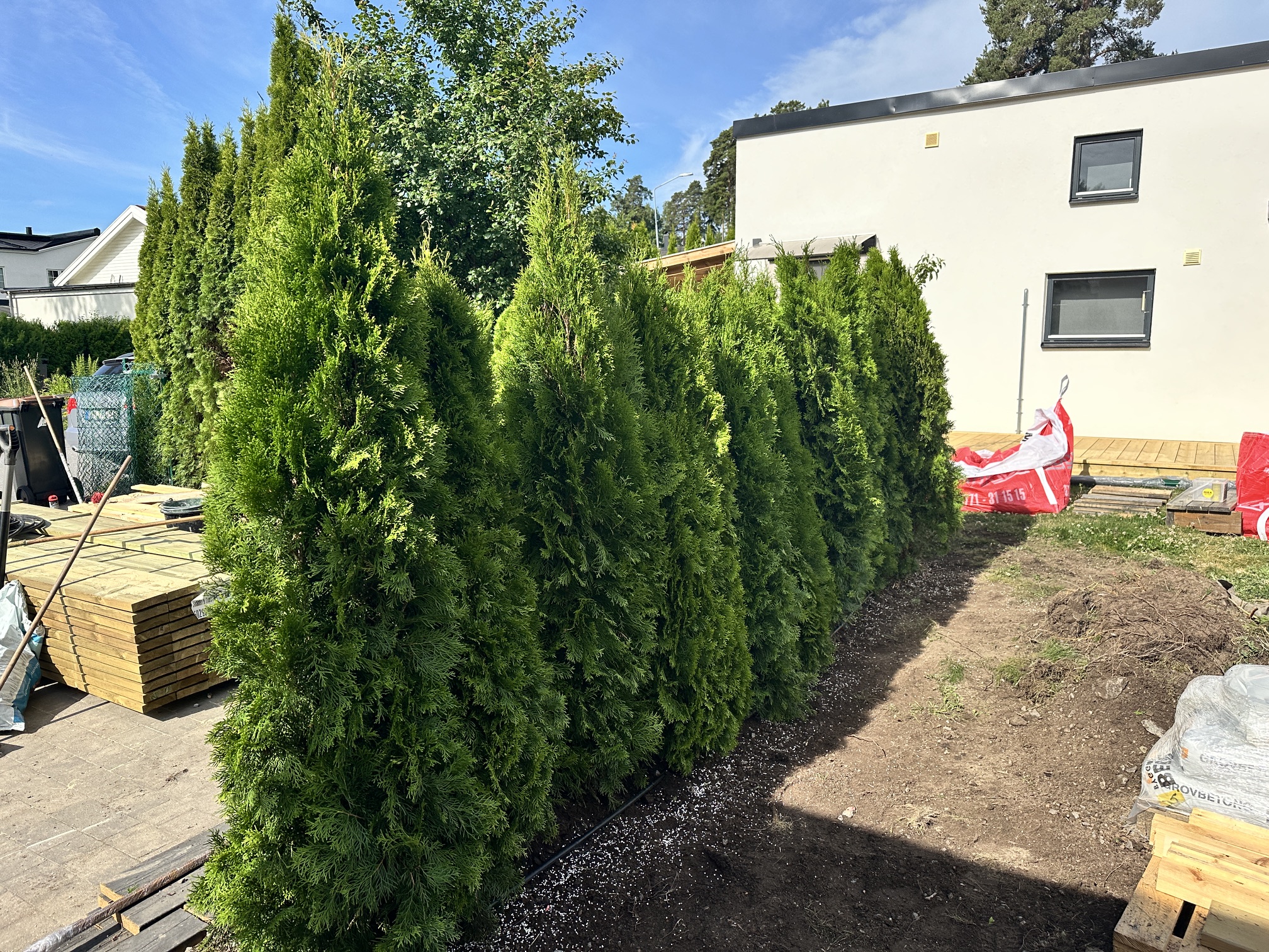 Thuja Smaragd, 180–200 cm, 9 meter i Täby