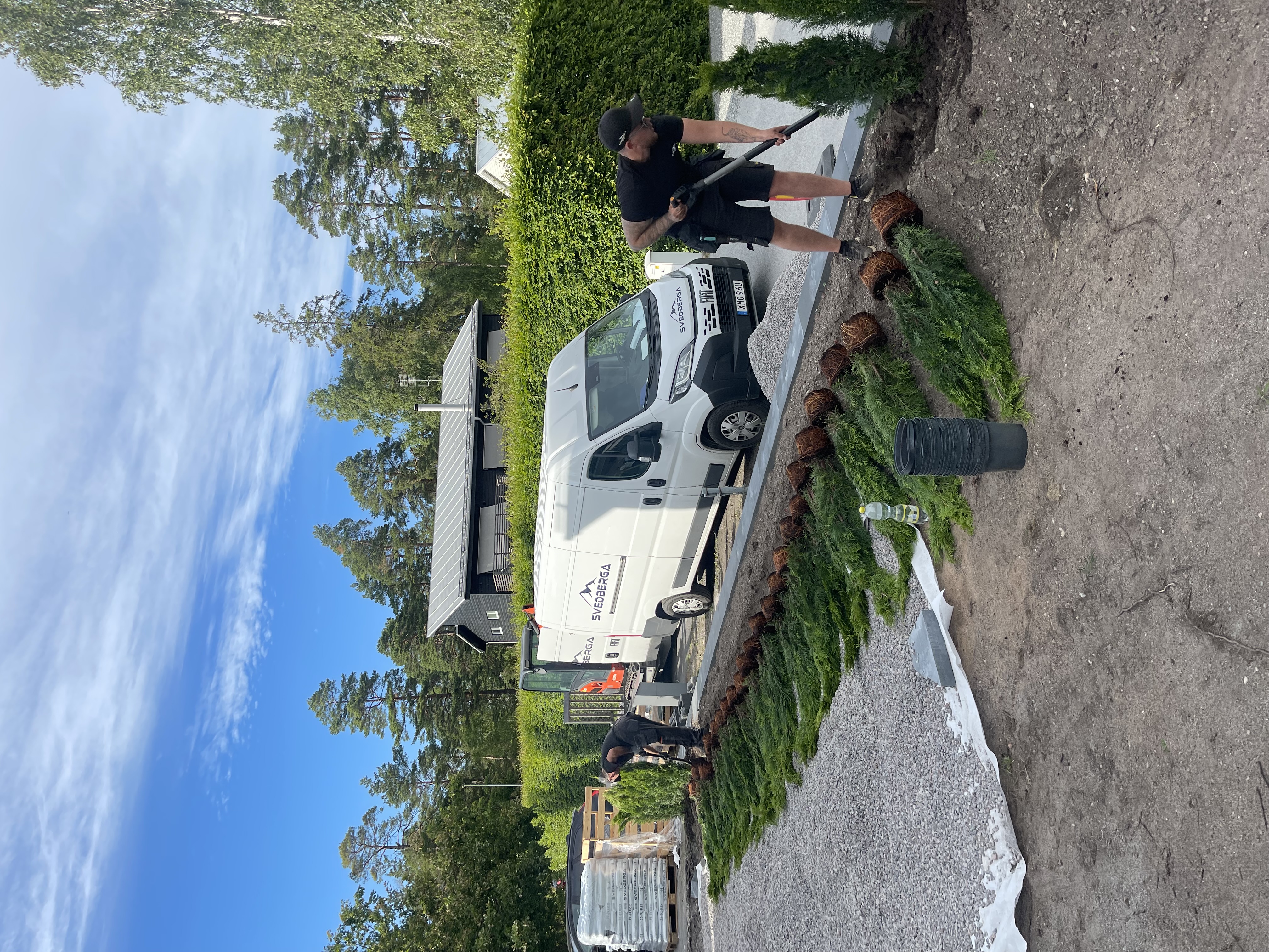 Thuja Smaragd 100–120 cm, 36 meter i Åkersberga
