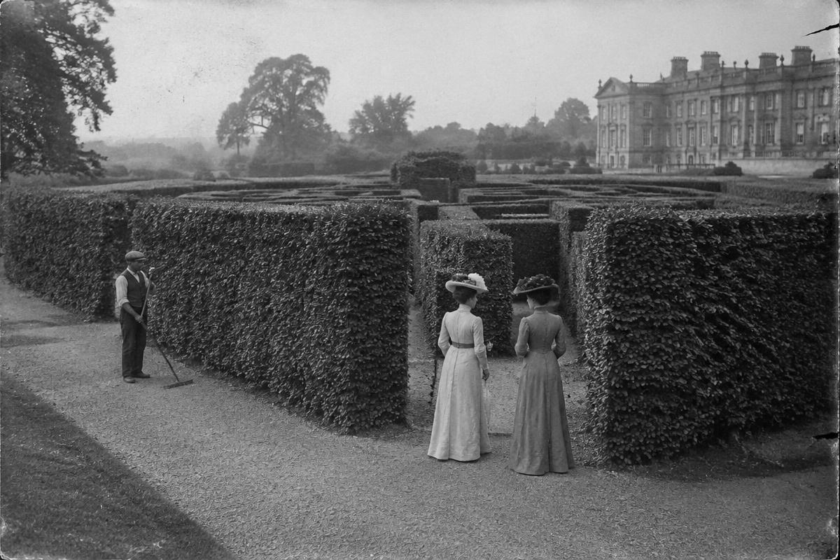 Häcklabyrint av avenbok vid ett slott, gammalt svartvitt foto